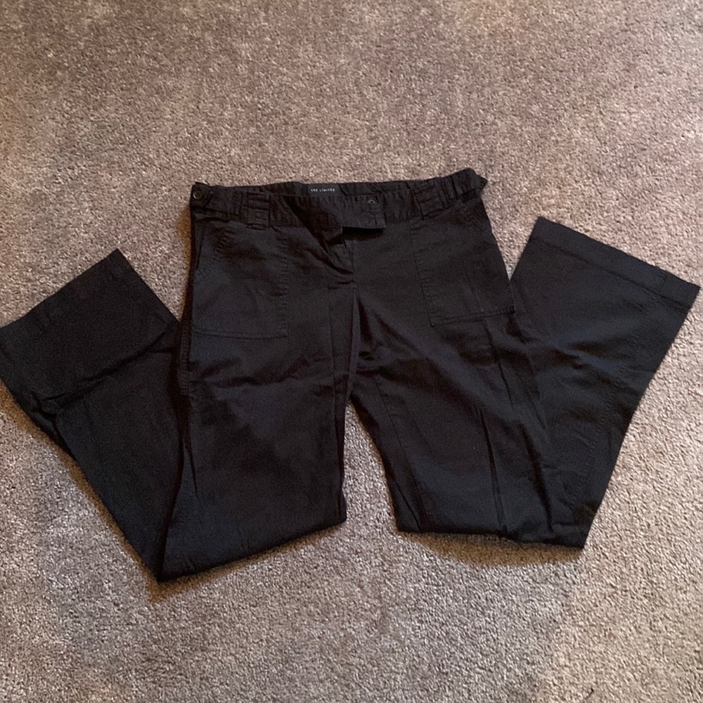 The Limited Sexy Drew Fit pants.